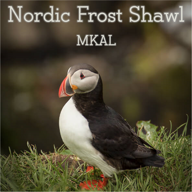 Nordic Frost Shawl