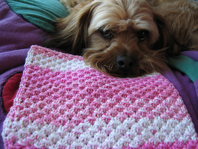 Open Star Dishcloth