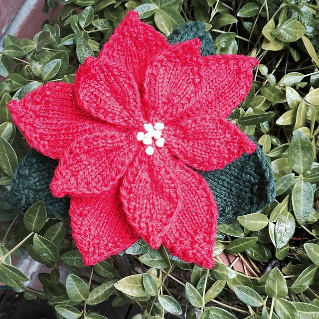 Poinsettia Brooch