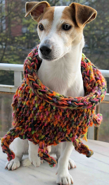 Intermezzo Shawl
