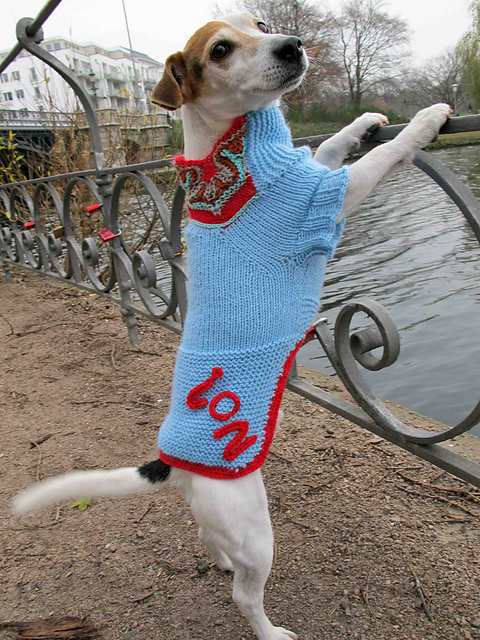 Little Paw Dog Sweater