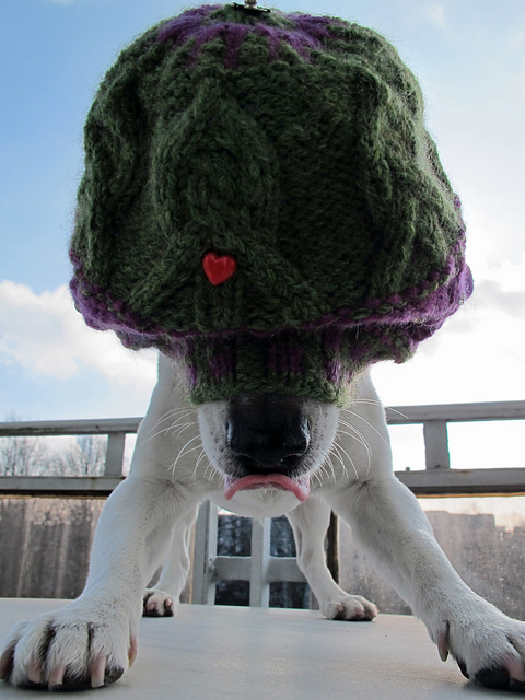 Beanie Cup Cake Uhlenhorst