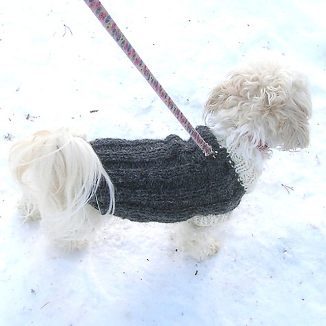 Rib Backed Little Dog Sweater