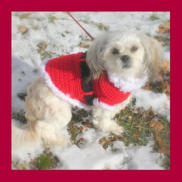 Santa Pup Little Dog Sweater