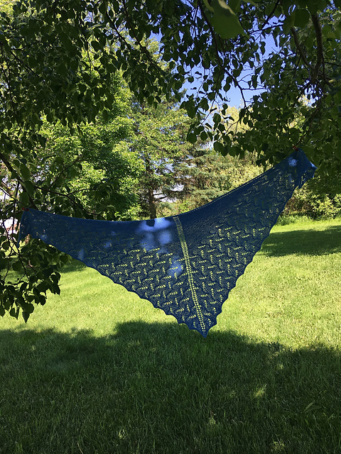Blooming Ginger Shawl