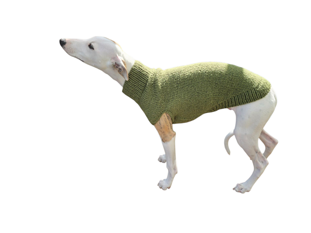 Easy Puppy Slipover