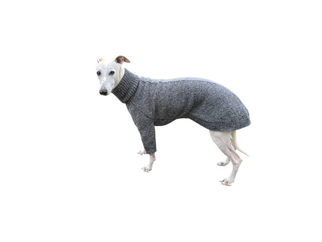 Zoomie suit