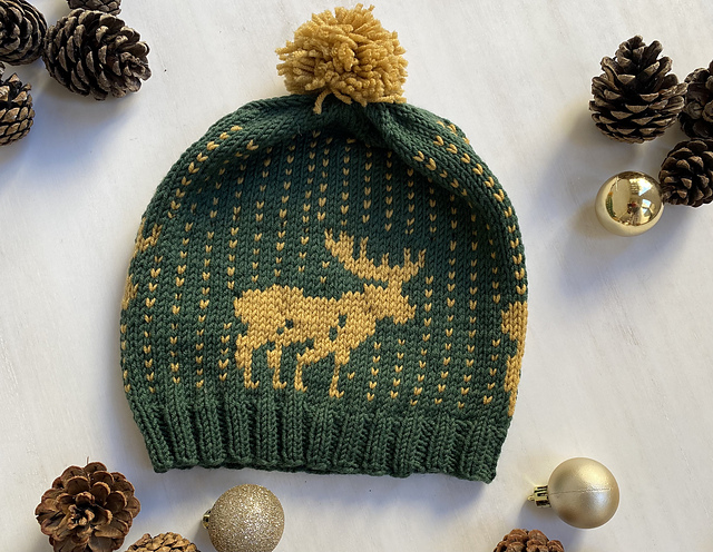 Moose on the Loose