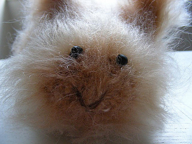 Fluffy Bunny