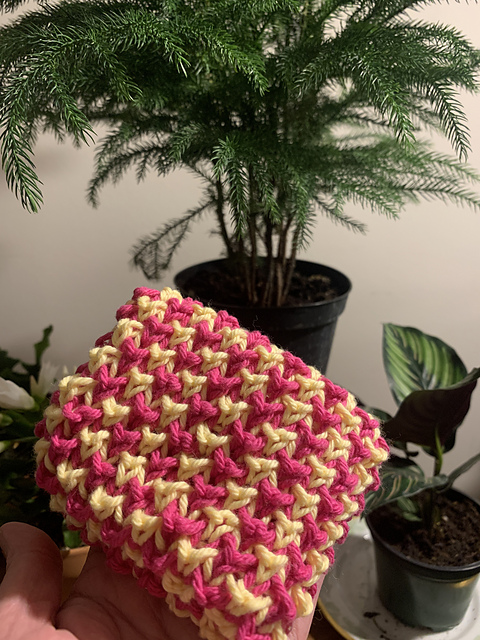 Tweed Stitch Dishcloth