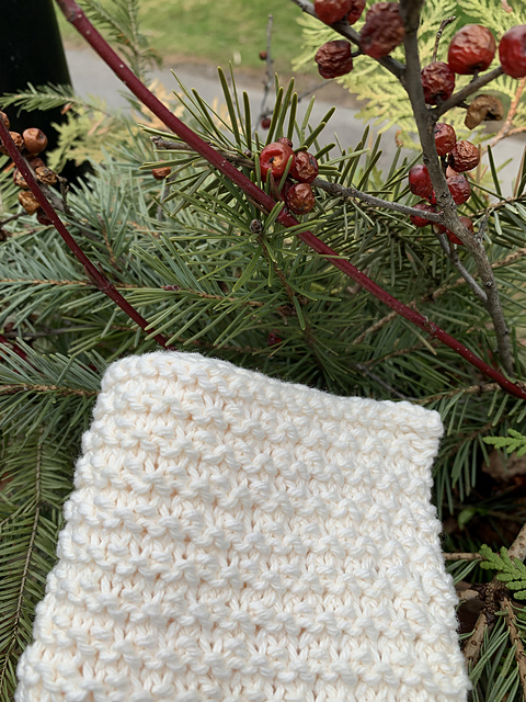 Garter Slip Dishcloth