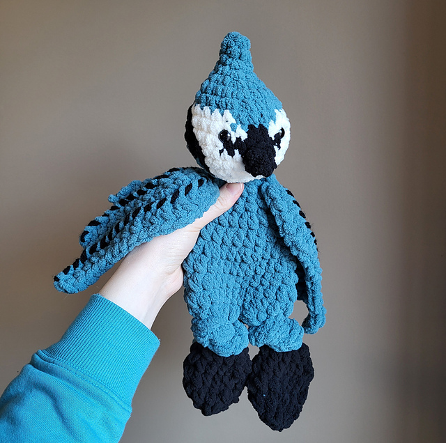 Baxter the Bluejay