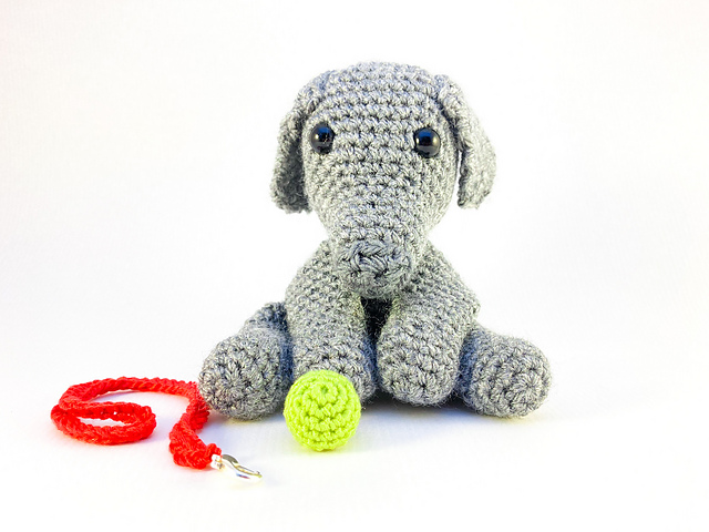Weimaraner Dog
