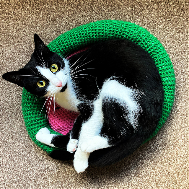 Watermelon Pet Bed