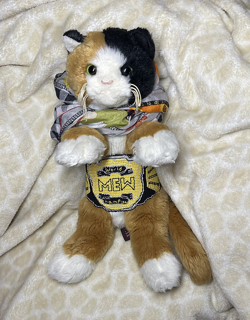 MEW Wrestling Title Belt