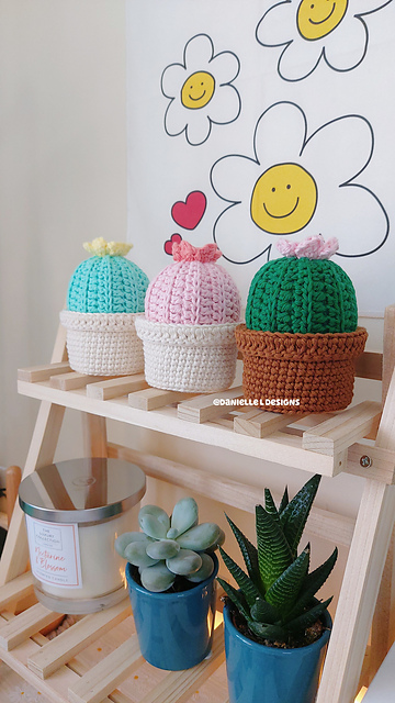 Cactus pin cushion
