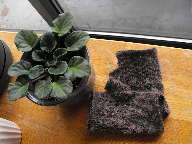 Aragonite Mitts