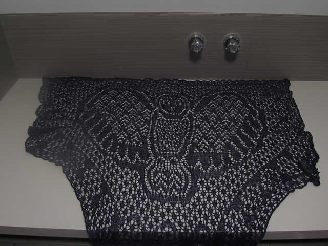 Indigo Owl II
