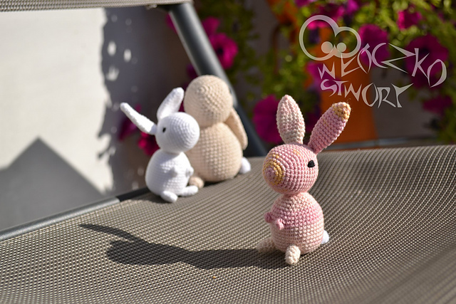 Curious Bunny