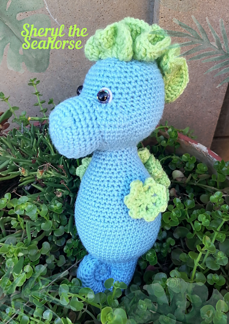 Sheryl the Seahorse