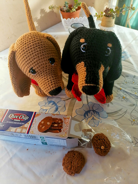Max & Daisy Dachshunds