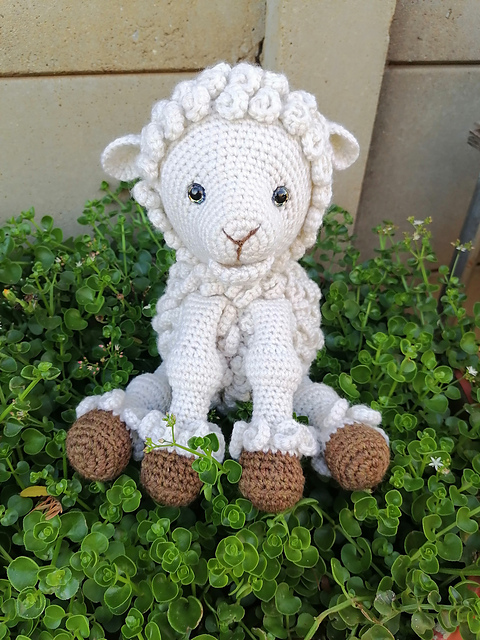 Lollipop lamb