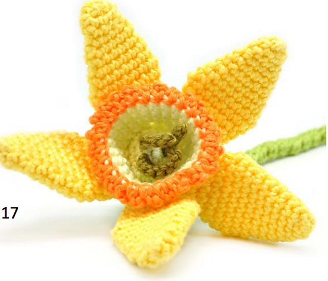 Daffodil / Narzisse