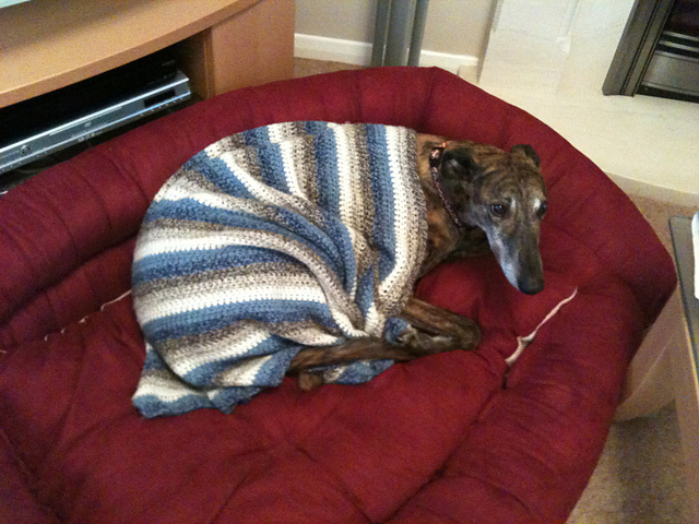 Stripy Dog Blanket