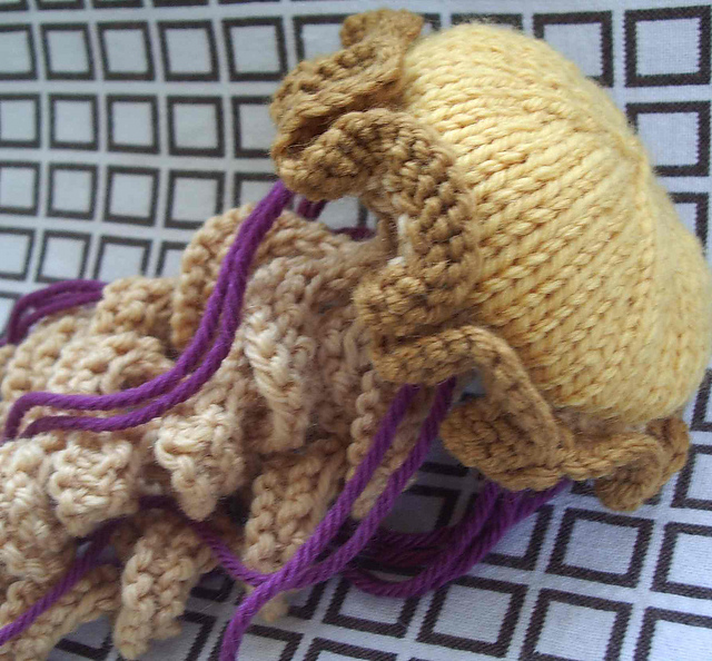 Jellyfish