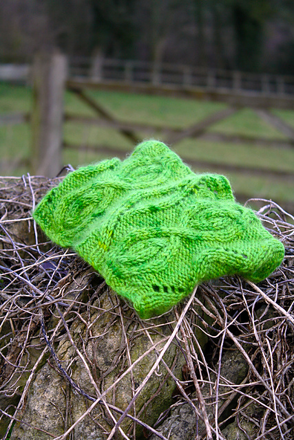 Grasshopper Cowl
