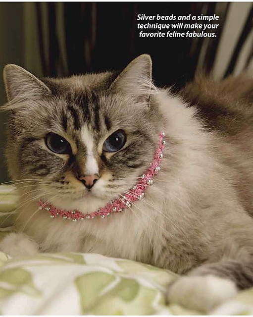Kitty's Collar