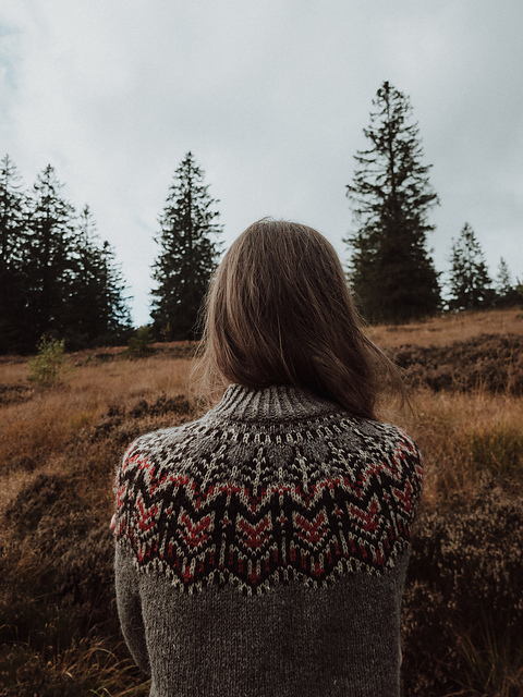 Ember Fox Sweater