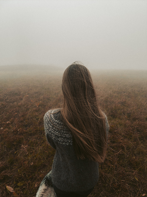 Barren Land Sweater