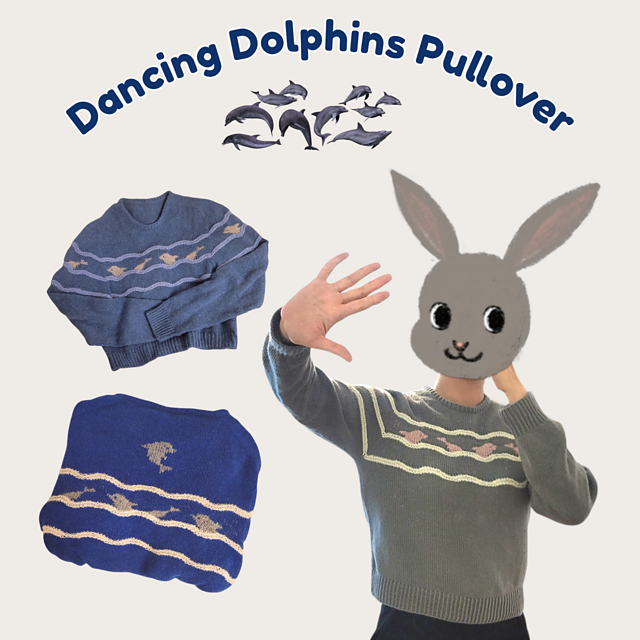Dancing Dolphins Pullover