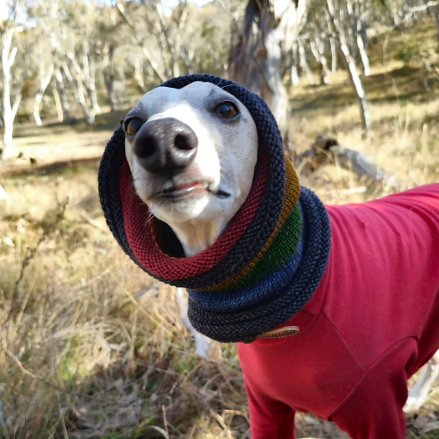 Wear it Proud Neckwarmer