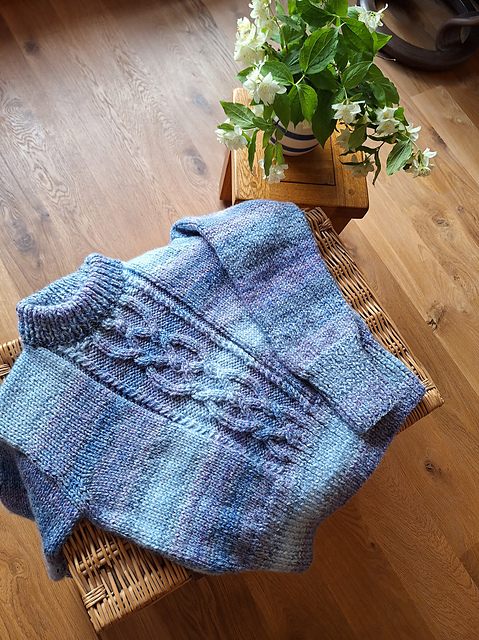 Ladies Cable Panel Sweater