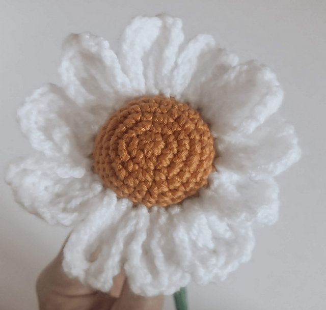 Delectable Daisy