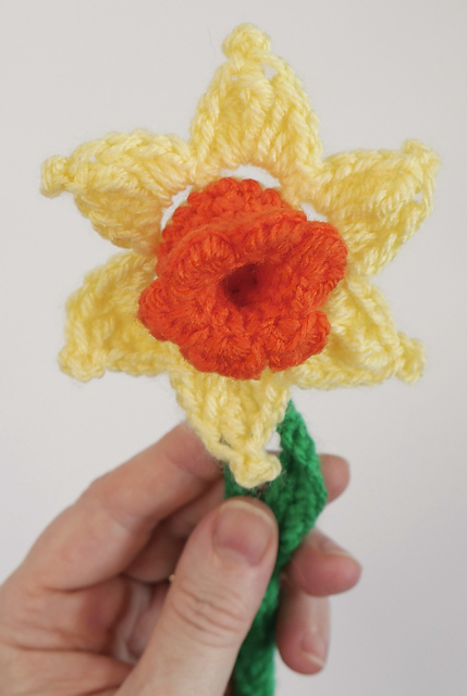 Delightful Daffodil