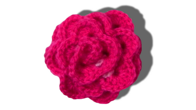 Rose Flower / Rose