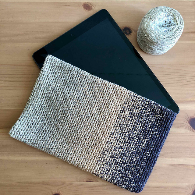 iPad case / Hülle