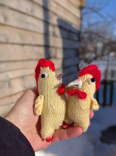 Funny rooster