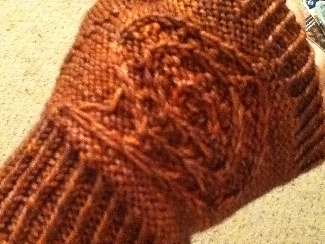 Fossil Hunter Fingerless Gloves