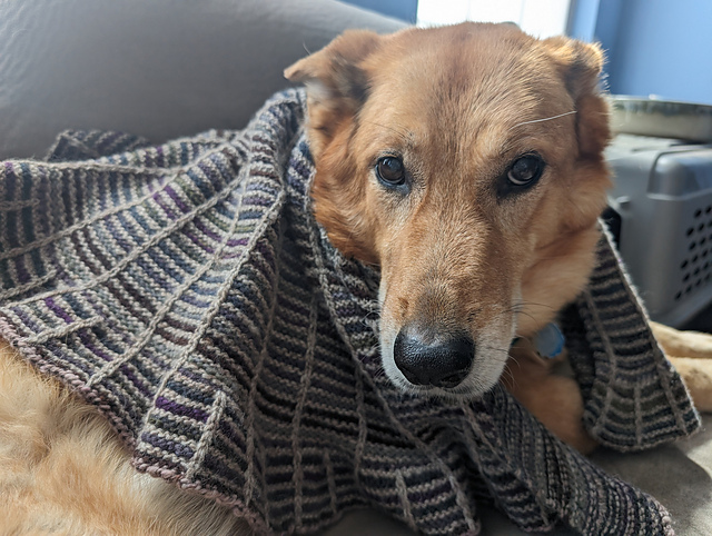 Radar Shawl