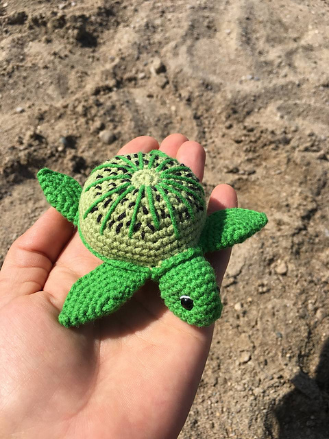 Kiwi sea turtle