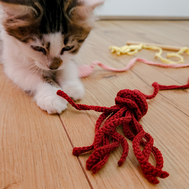 Fishing Rod Cat Toy