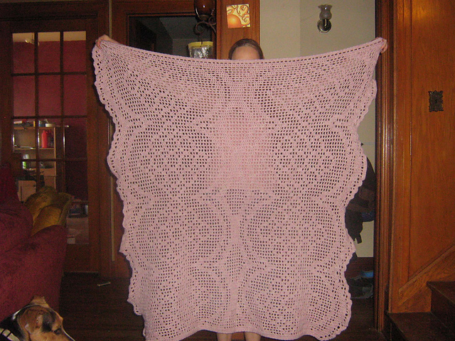 Elegant Filet Afghan
