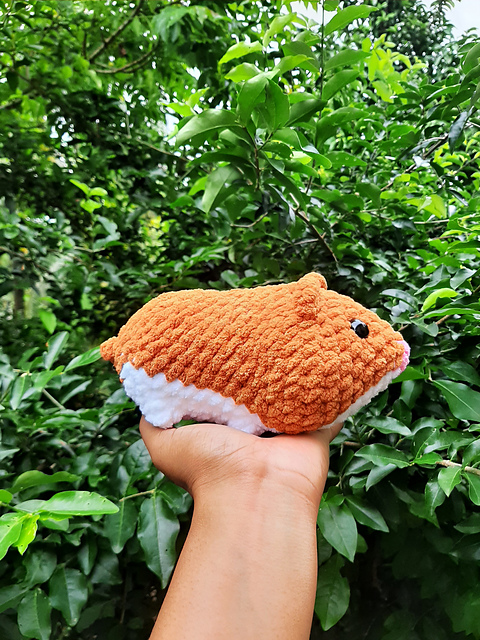 Hugo The Hamster
