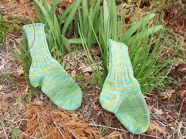Hawaiian Socks
