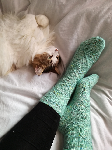 Watering Socks