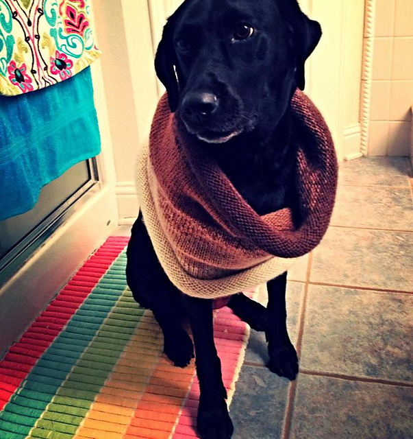 Alpacaccino Cowl